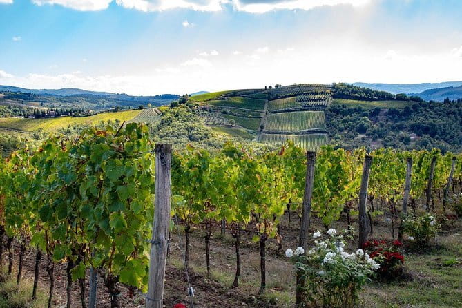 SMALL-GROUP Wine Safaris: Tuscan Wine Tasting Tours from Florence - Key things I’d zero in on