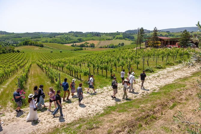 SMALL-GROUP Wine Safaris: Tuscan Wine Tasting Tours from Florence - Food matters here: why the meals are part of the tasting, not a break