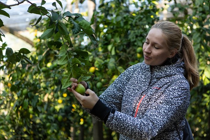 Sorrento Farm by Tuk Tuk: Cheese, Limoncello & Hands-On Pizza - Pickup, Timing, and How to Set Yourself Up for a Great Pizza Class