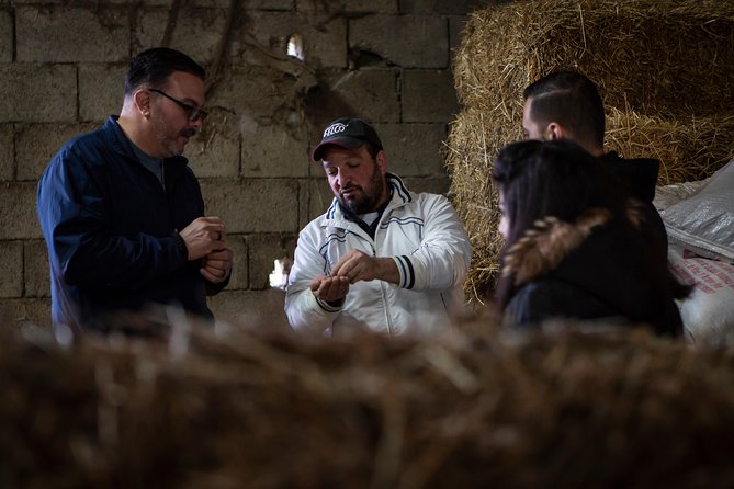 Sorrento Farm by Tuk Tuk: Cheese, Limoncello & Hands-On Pizza - The Pizza Making Part: Dough Skills, Not Just Dinner