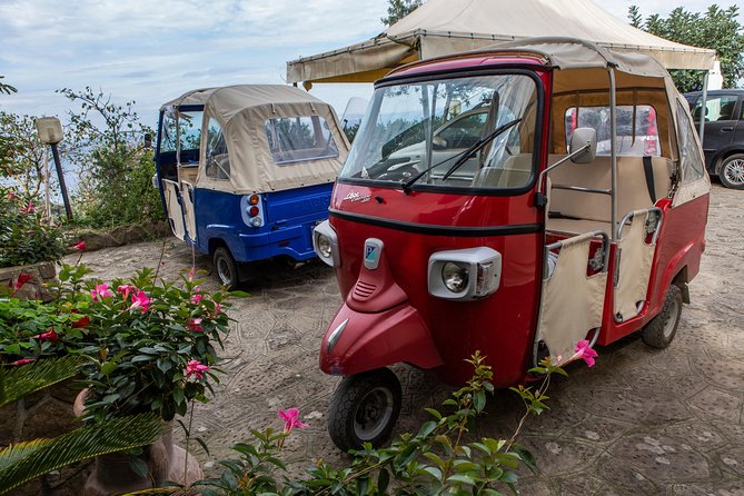Sorrento Farm by Tuk Tuk: Cheese, Limoncello & Hands-On Pizza - Coffee, Dessert, and Limoncello: How You Finish Like a Local
