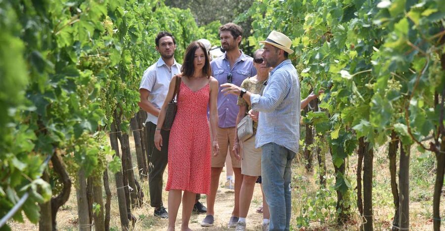 Sorrento: Farm Tour with Cheese Tasting & Pizza Making Class - From animals to crops: the seasonal walk you’ll actually remember