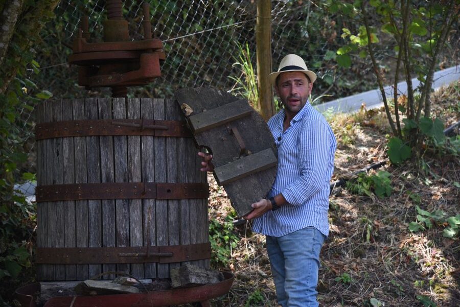 Sorrento: Farm Tour with Cheese Tasting & Pizza Making Class - The vibe, the photos, and the time to breathe