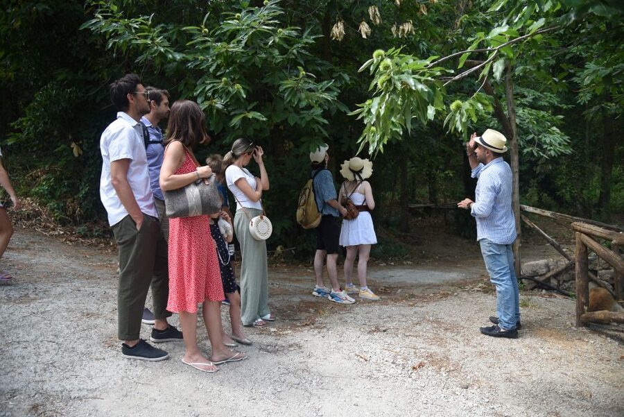 Sorrento: Farm Tour with Cheese Tasting & Pizza Making Class - Timing and weather: what changes and what stays the same