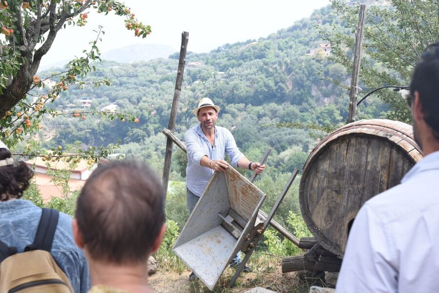 Sorrento: Farm Tour with Cheese Tasting & Pizza Making Class - Primaluce farm views plus a real sense of how the place works