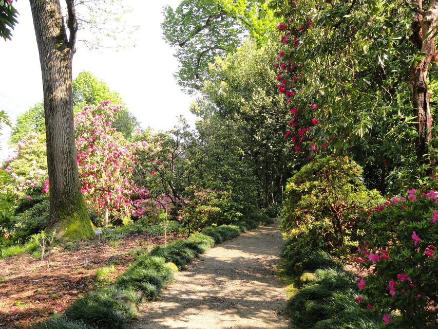 Stresa: 3 Borromean Islands Boat Tour - Who this tour fits best (and who should skip it)
