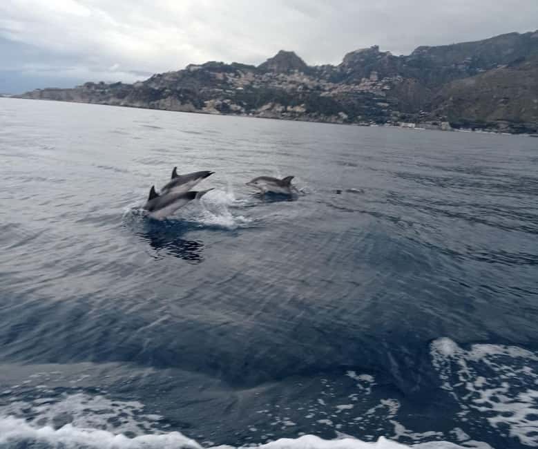 Sunset tour in search of dolphins with aperitif - What to Pack and Who This Tour Fits Best