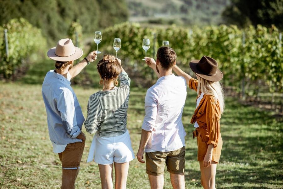 Taormina: Guided Etna Wine Tasting Half-Day Tour - Why an Etna wine tour makes sense from Taormina