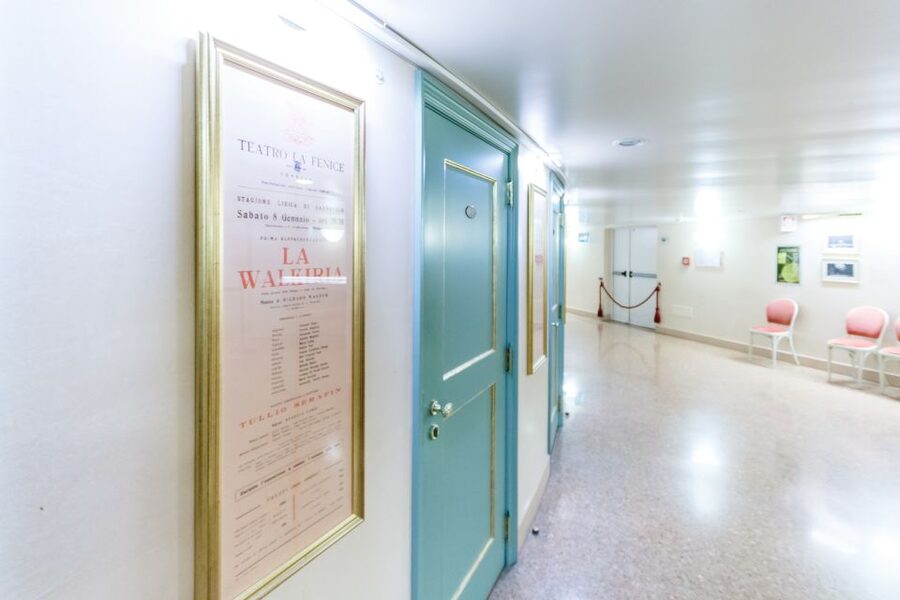 The Majestic Teatro La Fenice: Guided Tour in Venice - Who this tour suits best (and who should skip it)