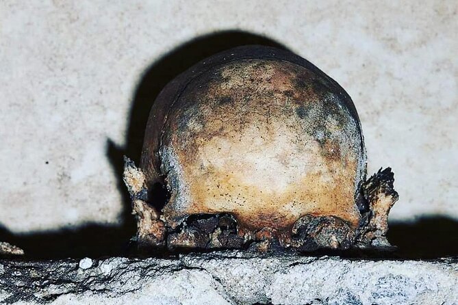 The Skull with the Ears: the Cult of the Dead in the Church of S. Luciella - Key highlights you will care about