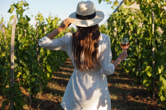 Tour Etna & Wine Tasting - Key highlights you will remember