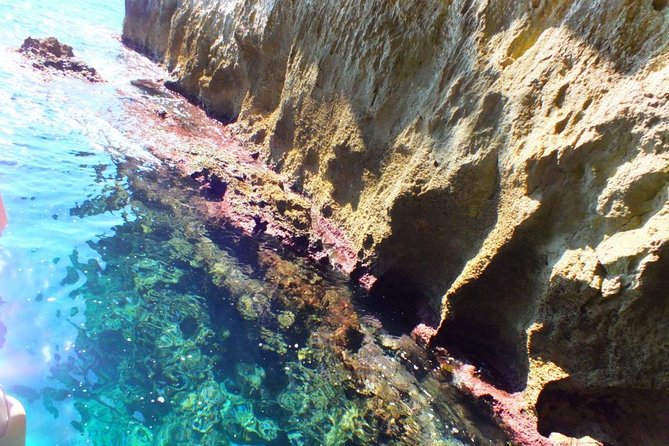Tour of the island of Ortigia and exploration of sea caves with baths. - Timing your day: how to pair this with exploring Ortigia