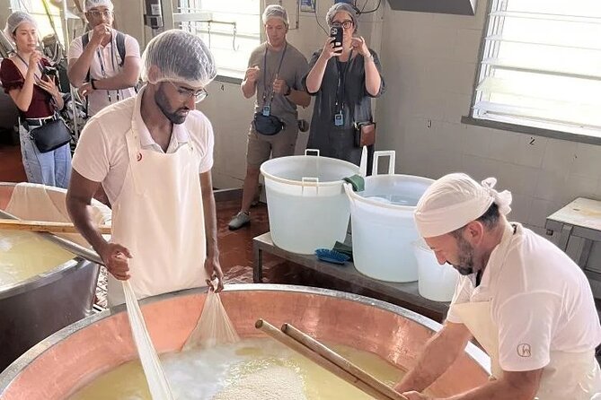 Tour Parmigiano Reggiano dairy and Parma ham - The Tasting That Teaches You What Age Really Means