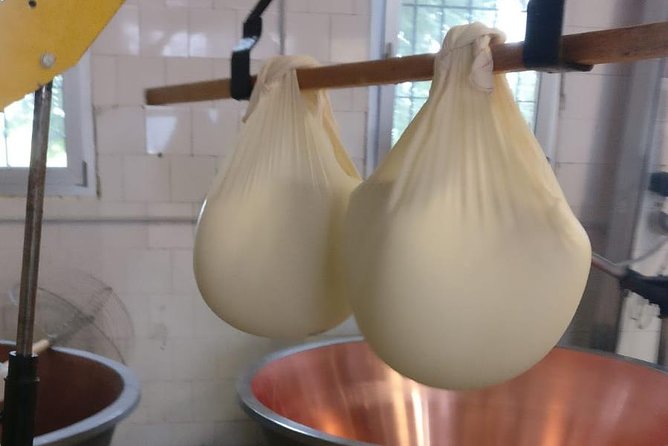 Tour Parmigiano Reggiano dairy and Parma ham - Prosciutto di Parma in the Langhirano Hills: Curing Rooms and Real Aroma