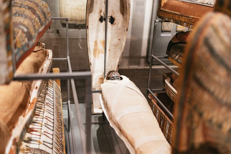 Turin: Egyptian Museum Priority Access Guided Tour - Ramses II gallery: the must-see centerpiece