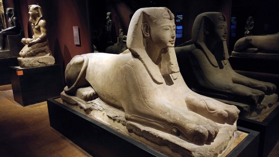 Turin: Guided Egyptian Museum Tour - Museo Egizio in Turin: why this museum tour feels different