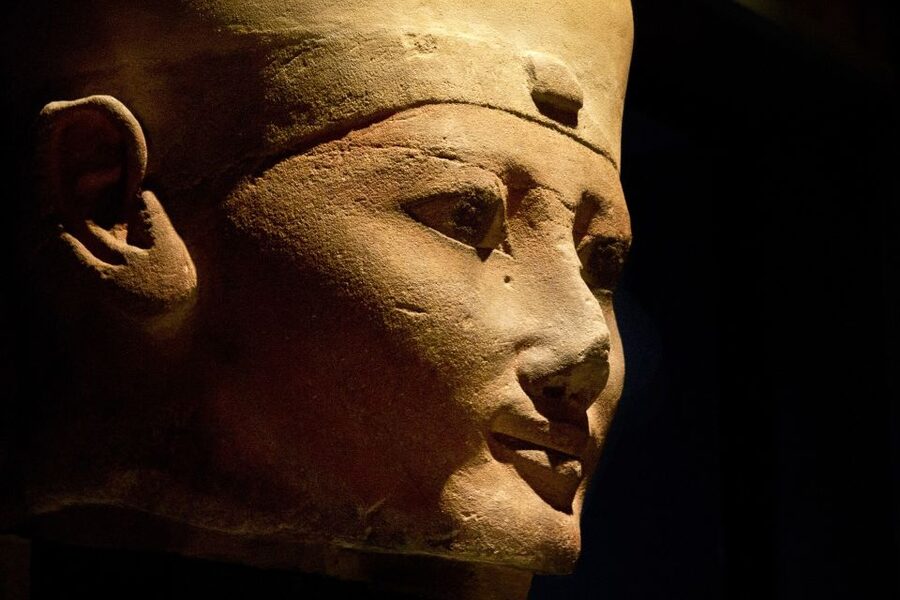 Turin: Guided Egyptian Museum Tour - Value for money: what you’re really buying for $70