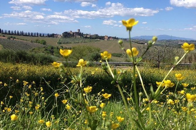 Tuscany Bike Tours Through the Chianti Hills with Wine Tasting - Value: is $145.12 per person worth it?