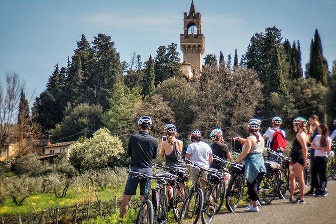Tuscany Bike Tours Through the Chianti Hills with Wine Tasting - The biking portion: tree-lined roads, olive groves, vineyards, and lots of photo stops