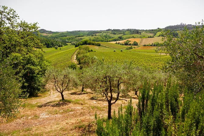 Tuscany Day Trip from Florence: Siena, San Gimignano, Pisa and Lunch at a Winery - Meeting at Santa Maria Novella and getting organized fast
