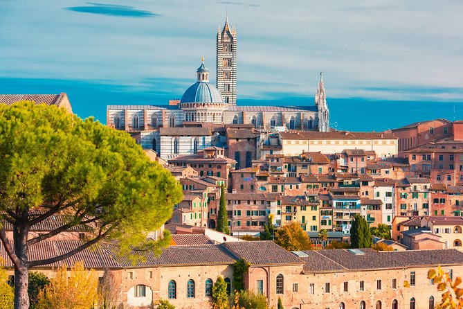 Tuscany: Day Trip to Pisa, Siena, San Gimignano, and Chianti - The Duomo and Piccolomini Library: what to choose if you care about interiors