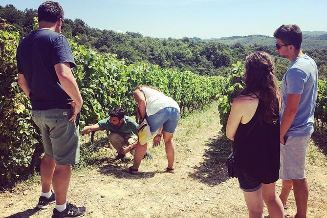 Tuscany Vespa Tours Through the Hills of Chianti - Hilltop village start and how the morning sets the tone
