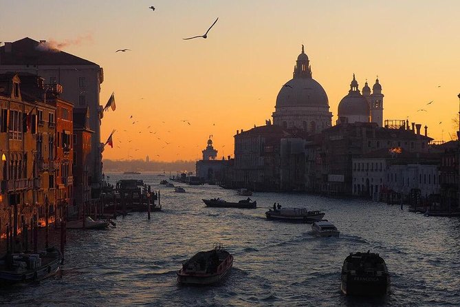 Venice Marco Polo Airport Private Arrival Transfer via Motorboat - Why a motorboat arrival is the smoothest way into Venice
